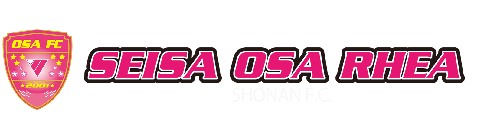 OSAレイア女子サッカーチーム